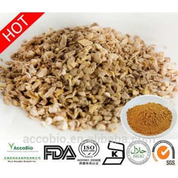 100% natürliche Bulk Supply Bio Ingwer Extrakt Pulver Curcumin 95%